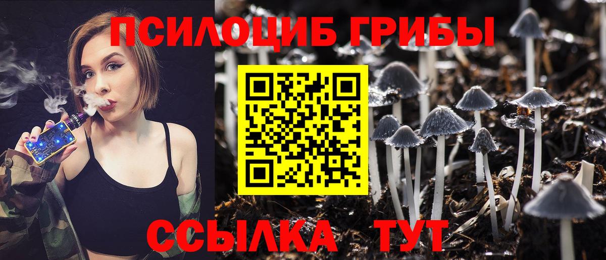 Псилоцибиновые грибы Cubensis Клинцы