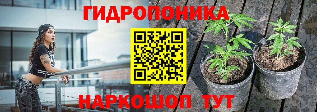 Бошки марихуана ГИДРОПОН  Вход с VPN  Конопля MAZAR  Каннабис AK-47  Клинцы 